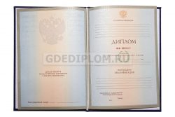 диплом дизайнера вуз 2004-2009